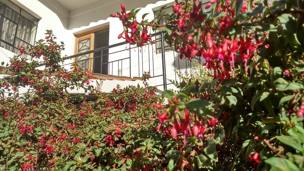 Posada Junco Y Capuli Huancayo Ngoại thất bức ảnh